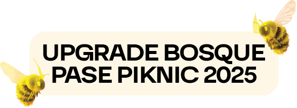 Logo Upgrade Sónico.